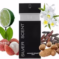 عطر 10 گرمی بوگارت سیلور سنت درجه اعلا