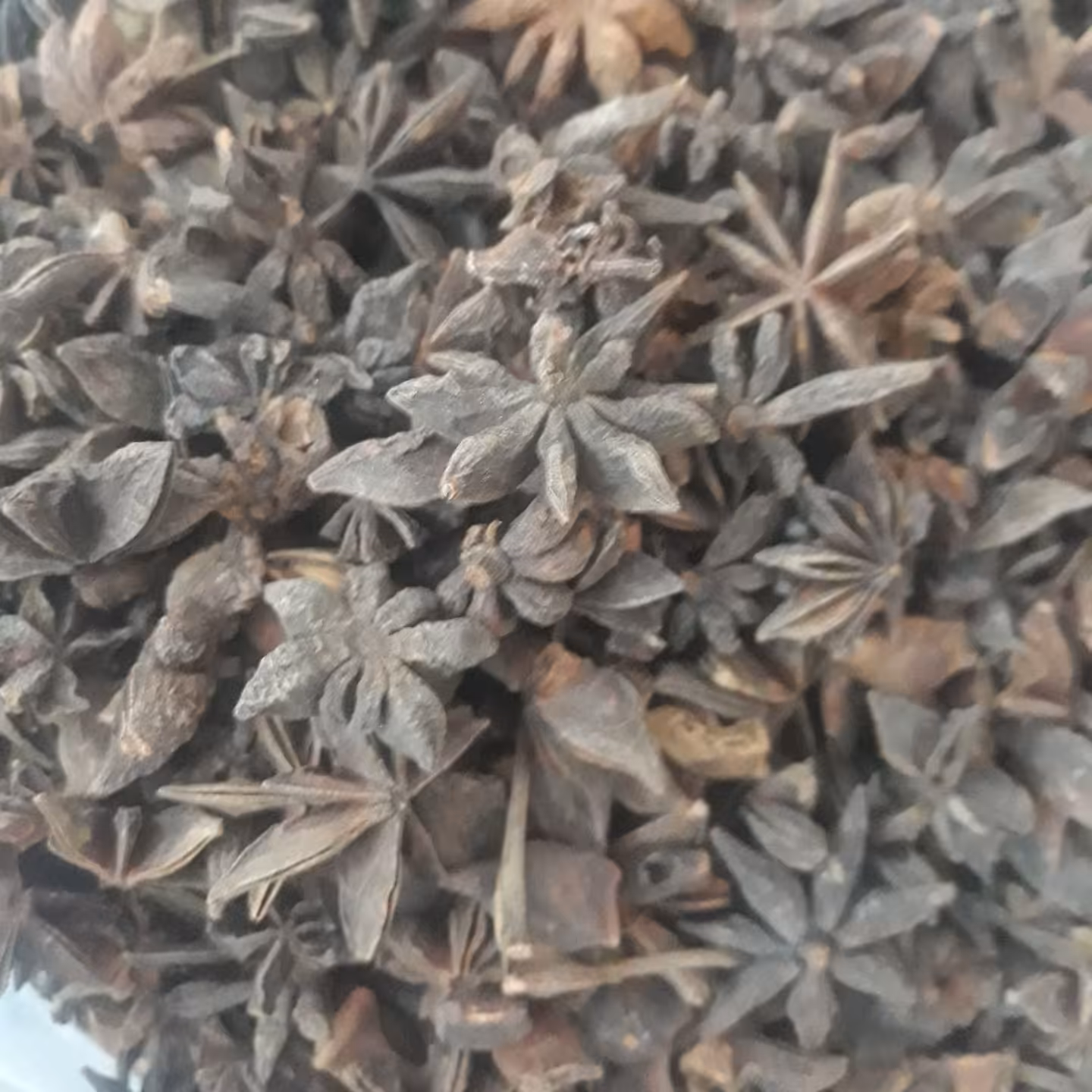 بادیان ستاره ای (50گرمی)،بادیان ختایی ،بادیان رومی، انیسون ستاره ای -تمیز و سورت