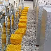 تخم نطفه دار بلدرچین مخصوص دستگاه های جوجه کشی