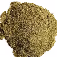 پودر نعنا خشک 100گ 