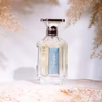 عطر سیلور زیفوئید