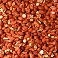 بادام زمینی درجه یک با طعم کچاپ