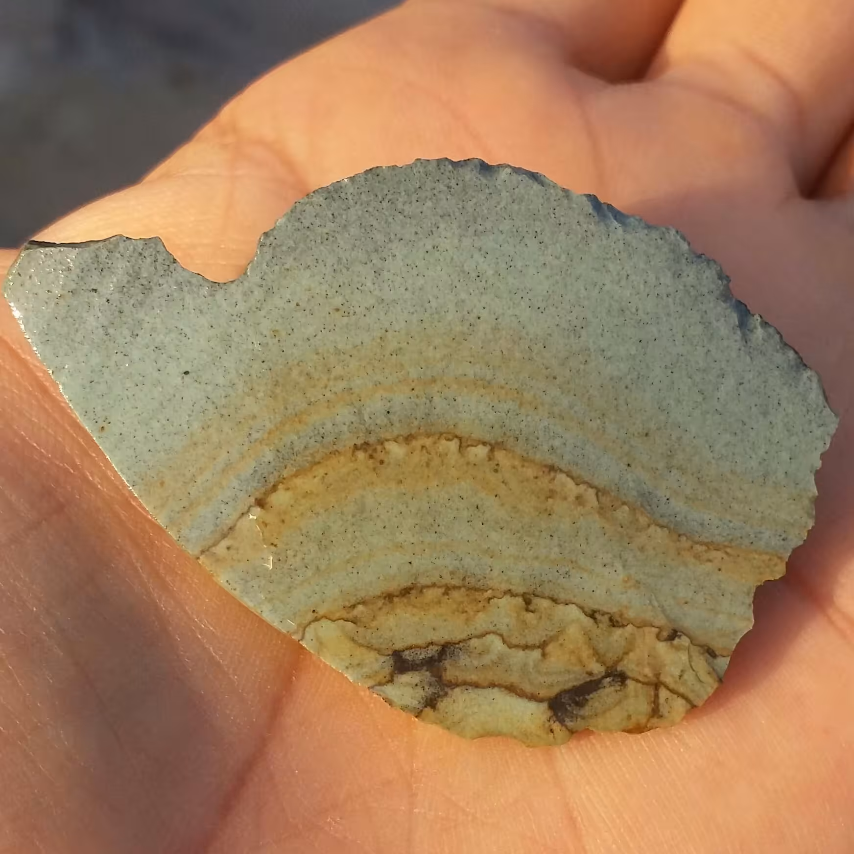 سنگ راف جاسپر منظره بسیار کمیاب خاص 100 در 100 طبیعی شاهکار خلقت دیدنییی

کد7582