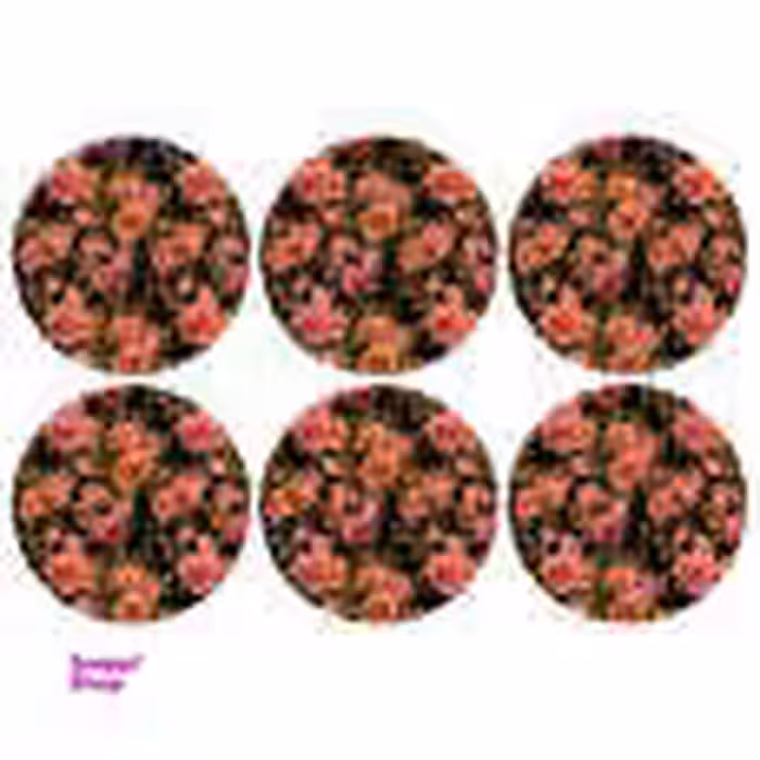 زیربشقابی مدل U2-42809 بسته 6 عددی