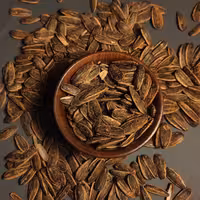 تخمه آفتابگردان کچاپ 