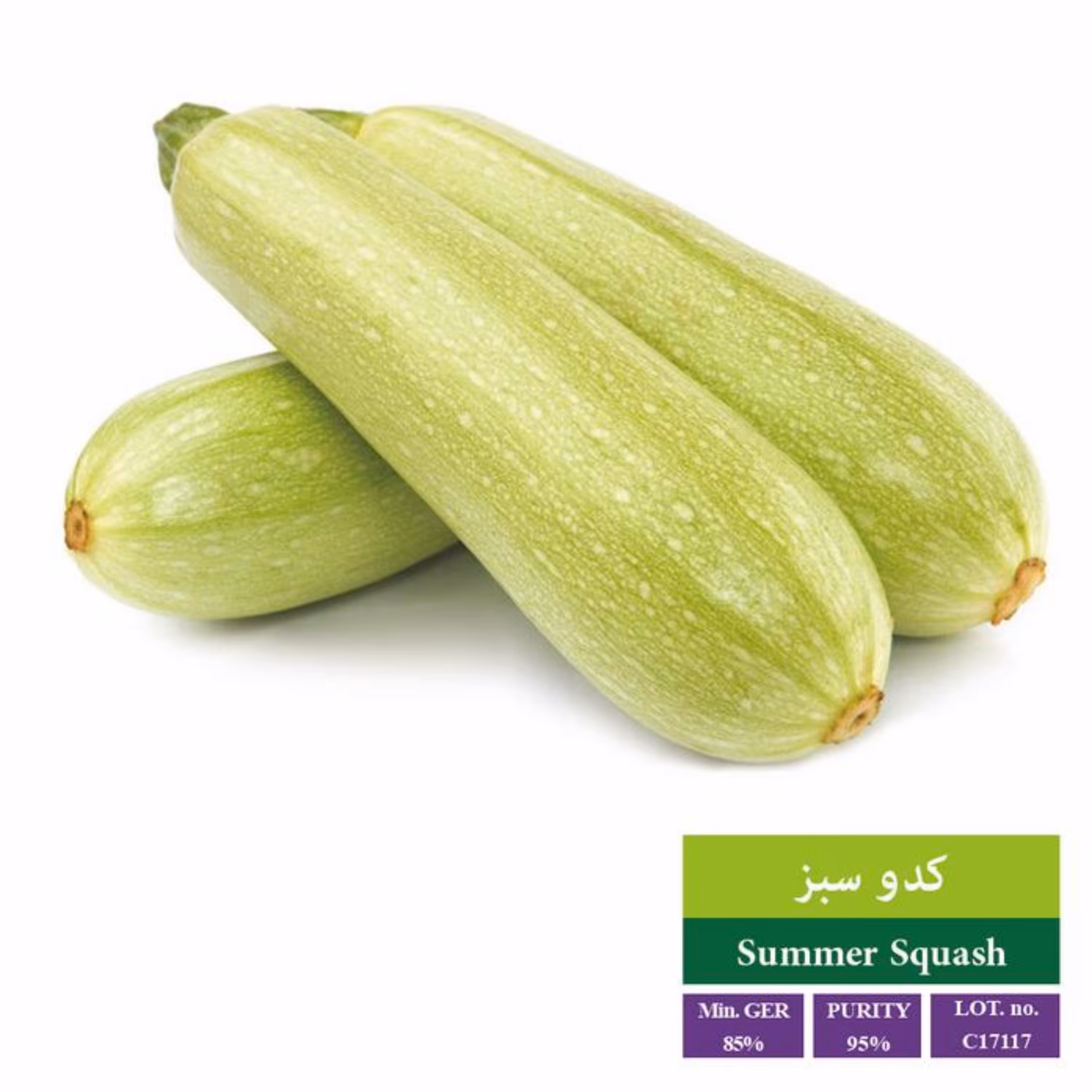بذر کدو سبز بذر طلایی رویان 