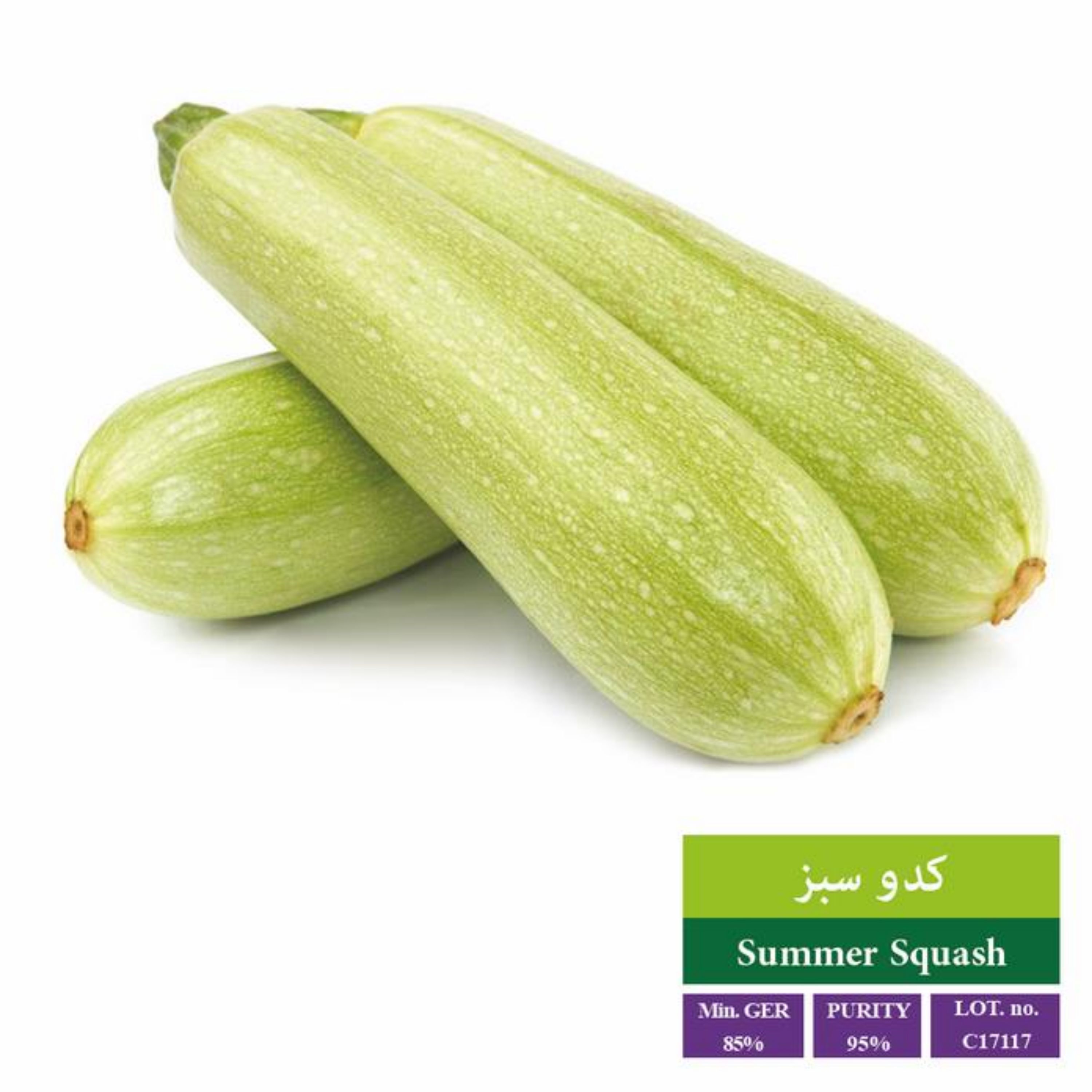 بذر کدو سبز بذر طلایی رویان