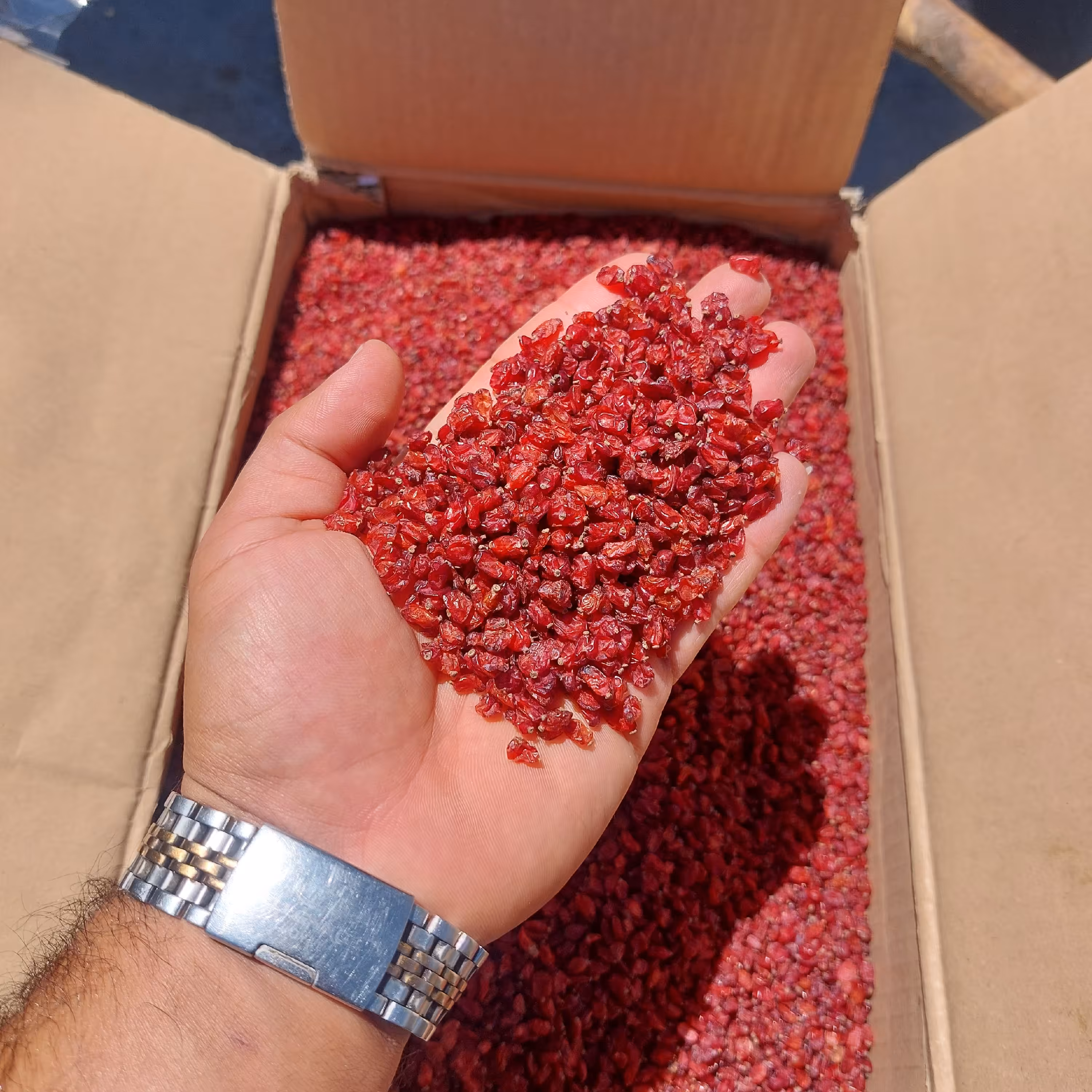 زرشک اناری بسته بندی یک کیلویی و نیم کیلویی