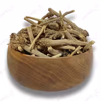 ریشه کاسنی (کیلویی)