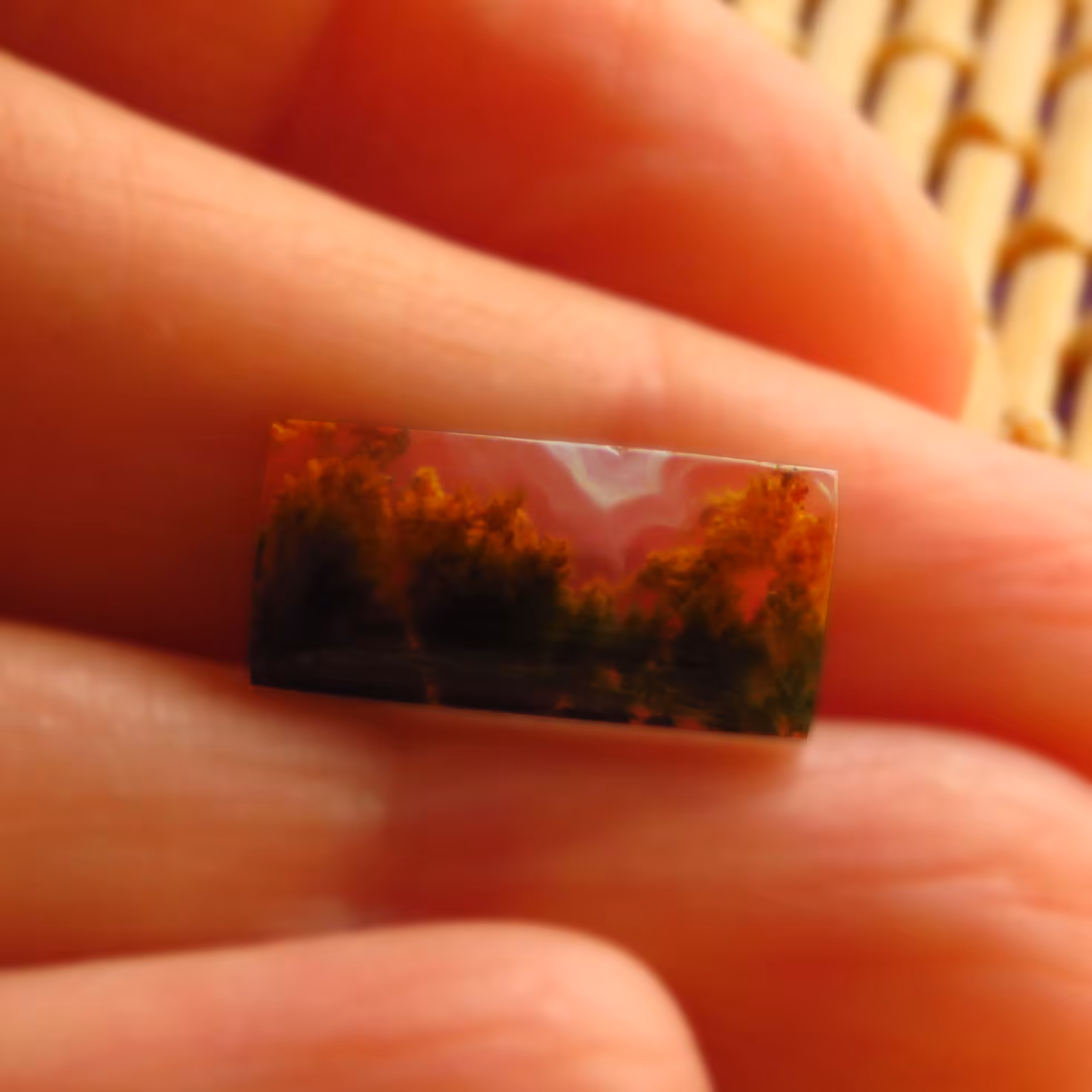 سنگ طبیعی  عقیق شجر طرح جنگل پاییزی کد 381