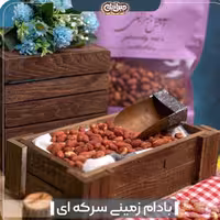 بادام زمینی سرکه ای خوشمزه مخصوص ترش پسند ها بسته 500 گرمی