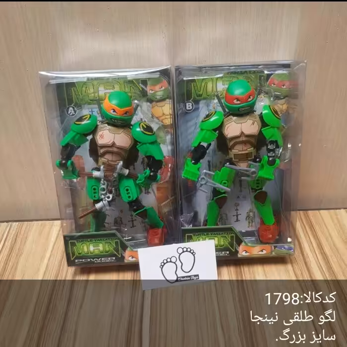 نینجا طلقی بزرگ