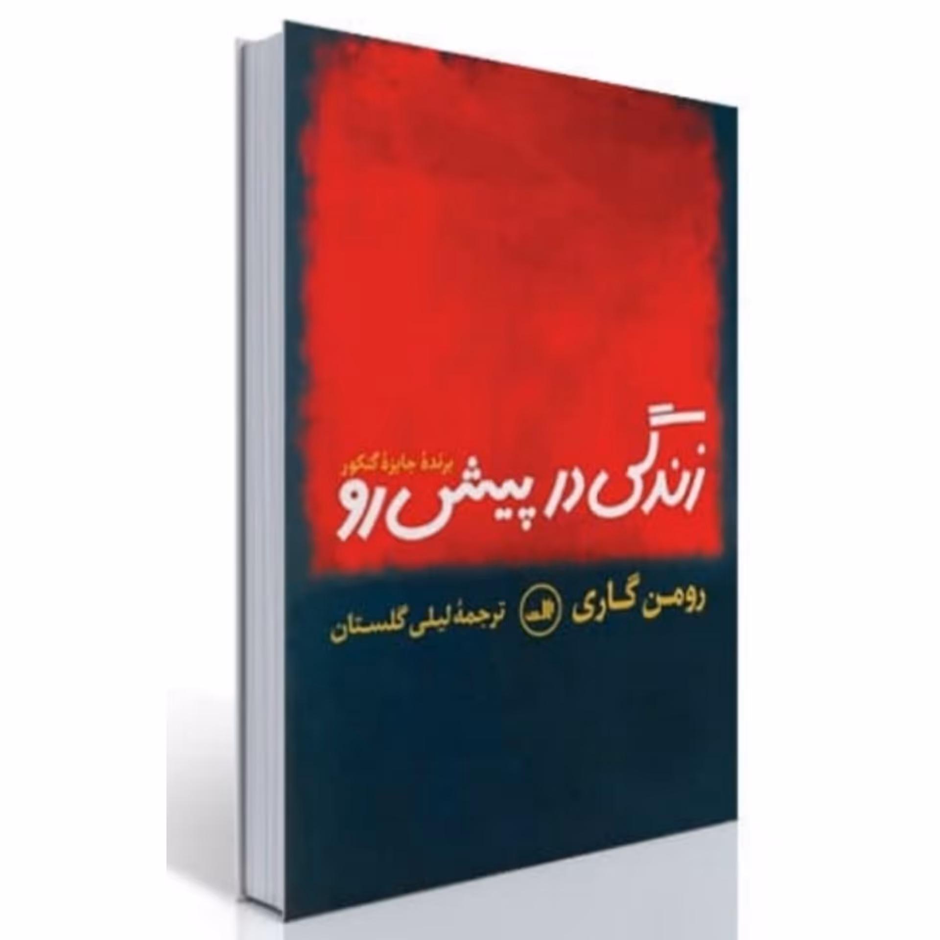 کتاب رمان زندگی در پیش رو اثر رومن گاری ترجمه لیلا گلستان انتشارات ثالث