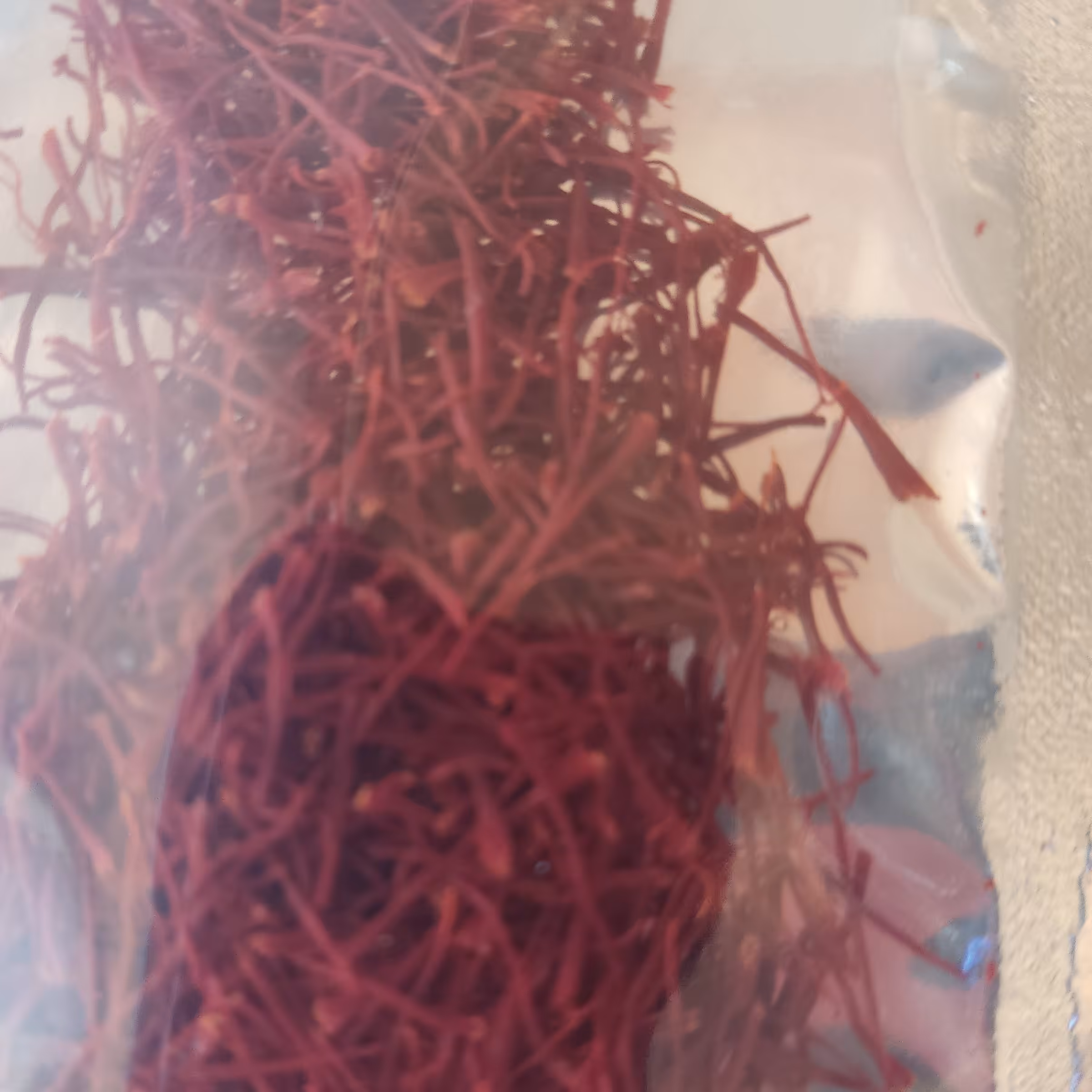 زعفران مرغوب خوش طعم و عطر با کیفیت عالی 