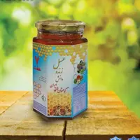 عسل زنده دانش هفت ستاره کوهستان های ایران  روازاده صد در صد طبیعی