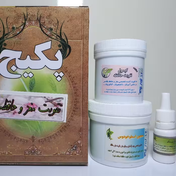 پکیج تقویت حافظه ( دوره کامل 3 پکیج )