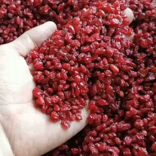 زرشک دانه پفکی تازه و درجه یک( 500گرم)