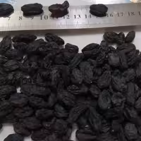 مویز  ممتاز مشکی یک بسته بندی نیم کیلویی بدون هسته و گوشتی