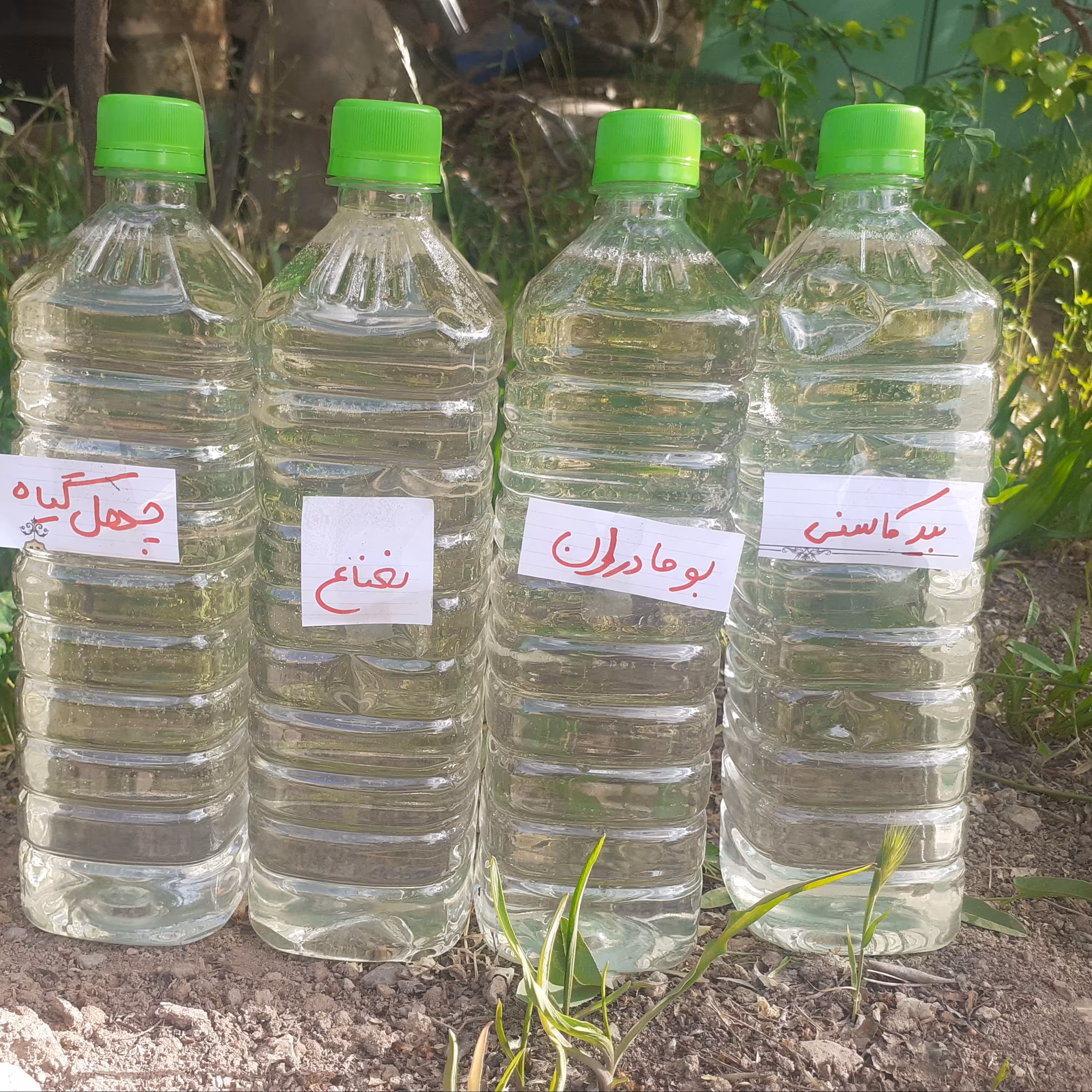 پک 4 عددی عرقیات خانگی هر کدام 1 لیتر (نعناع-چهل گیاه-بیدکاسنی-بومادران)