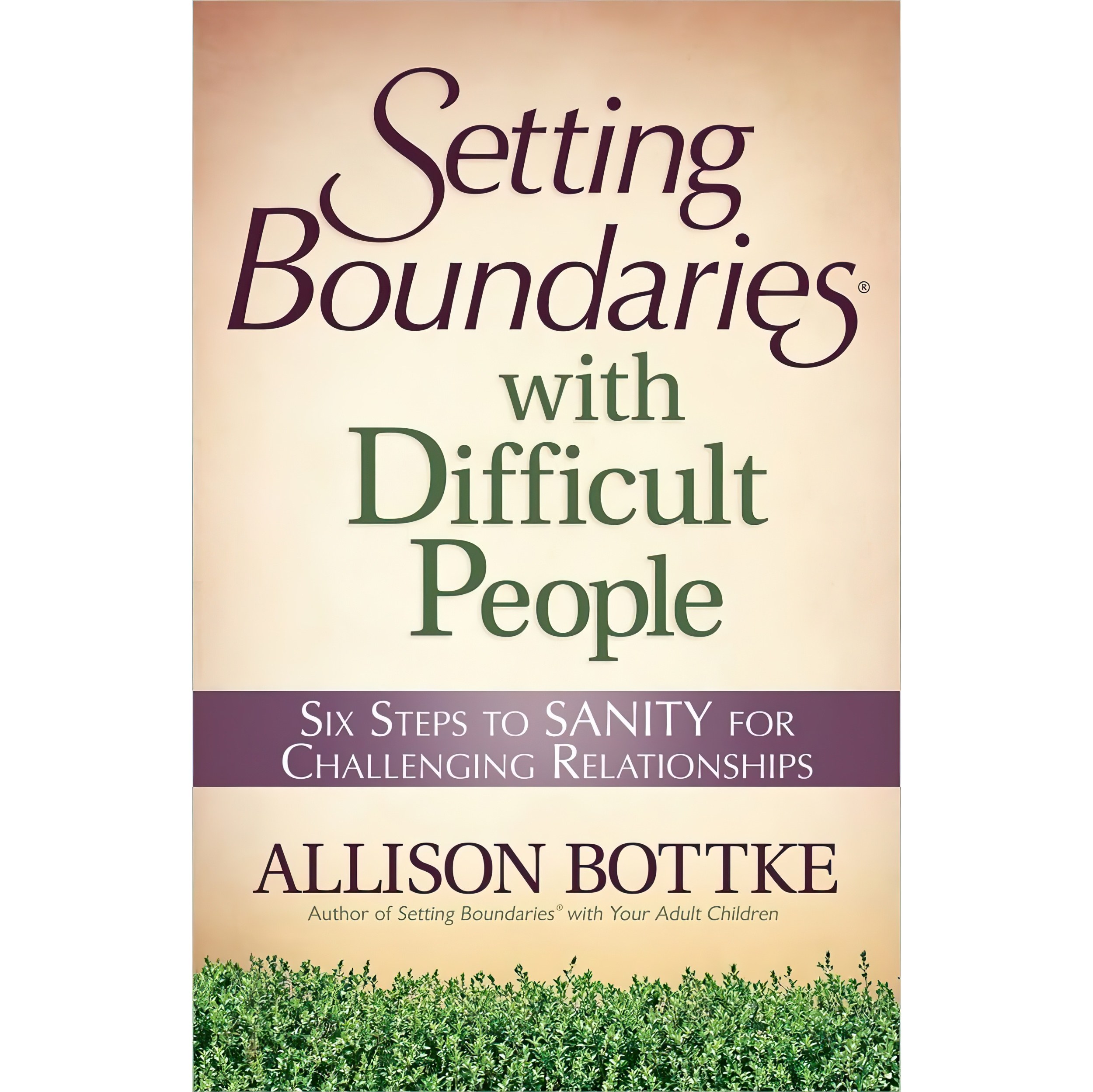 کتاب زبان اصلی Setting Boundaries with Difficult People