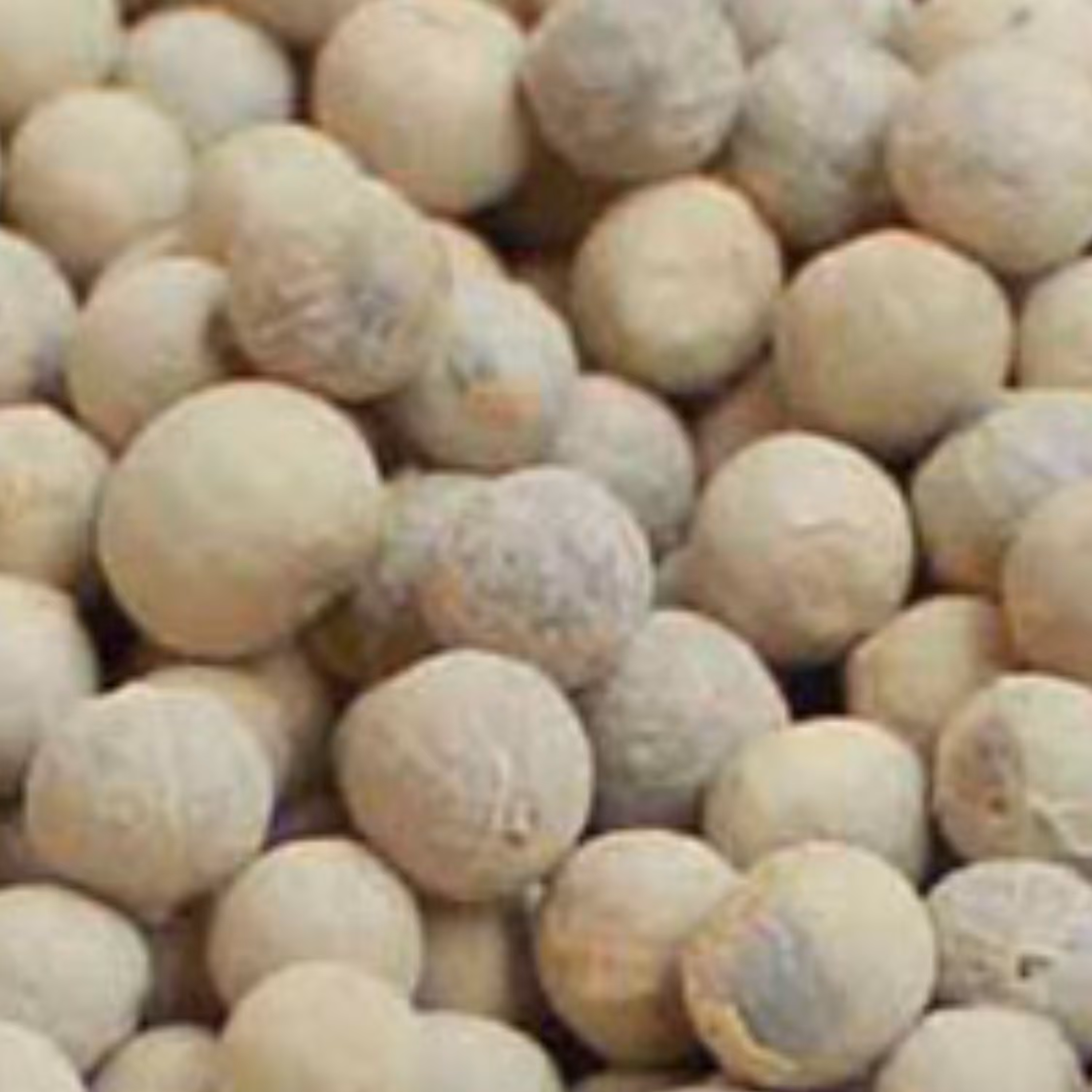 دانه فلفل سفید