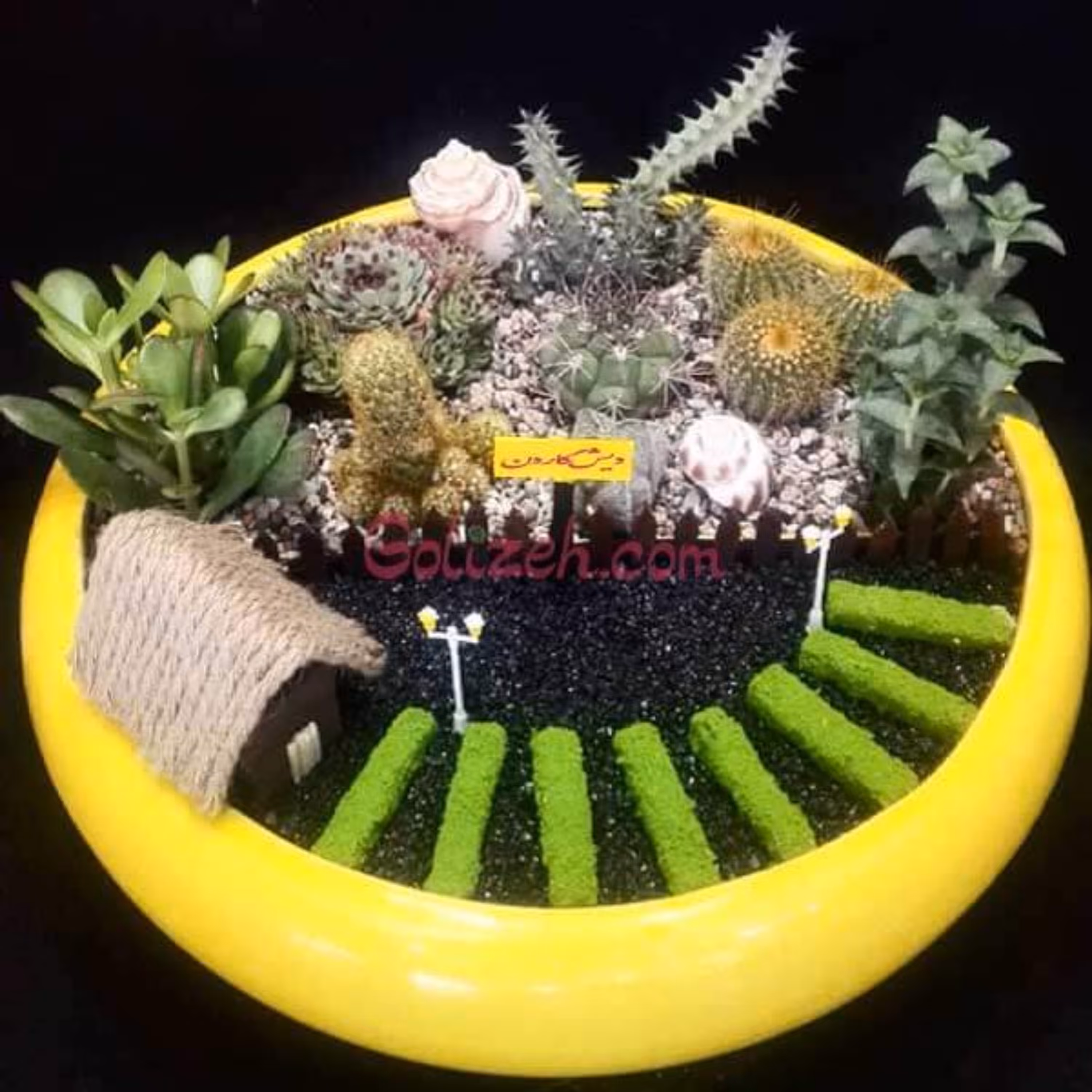 دیش گاردن کاکتوس کلبه