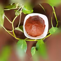 رب گوجه فرنگی  خانگی امساله  یک کیلو گرمی  سالم و فوق غلیظ