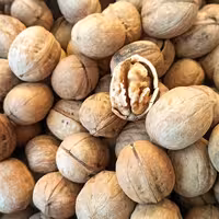 گردو پوست کاغذی اعلا (1کیلو)