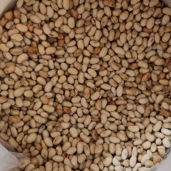 سویا اجیلی(نیم کیلو)