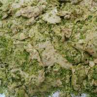 حلوا پسته ای  ویژه سادات سوغات ارومیه با بسته بندی پلاستیکی بهداشتی نیم کیلویی