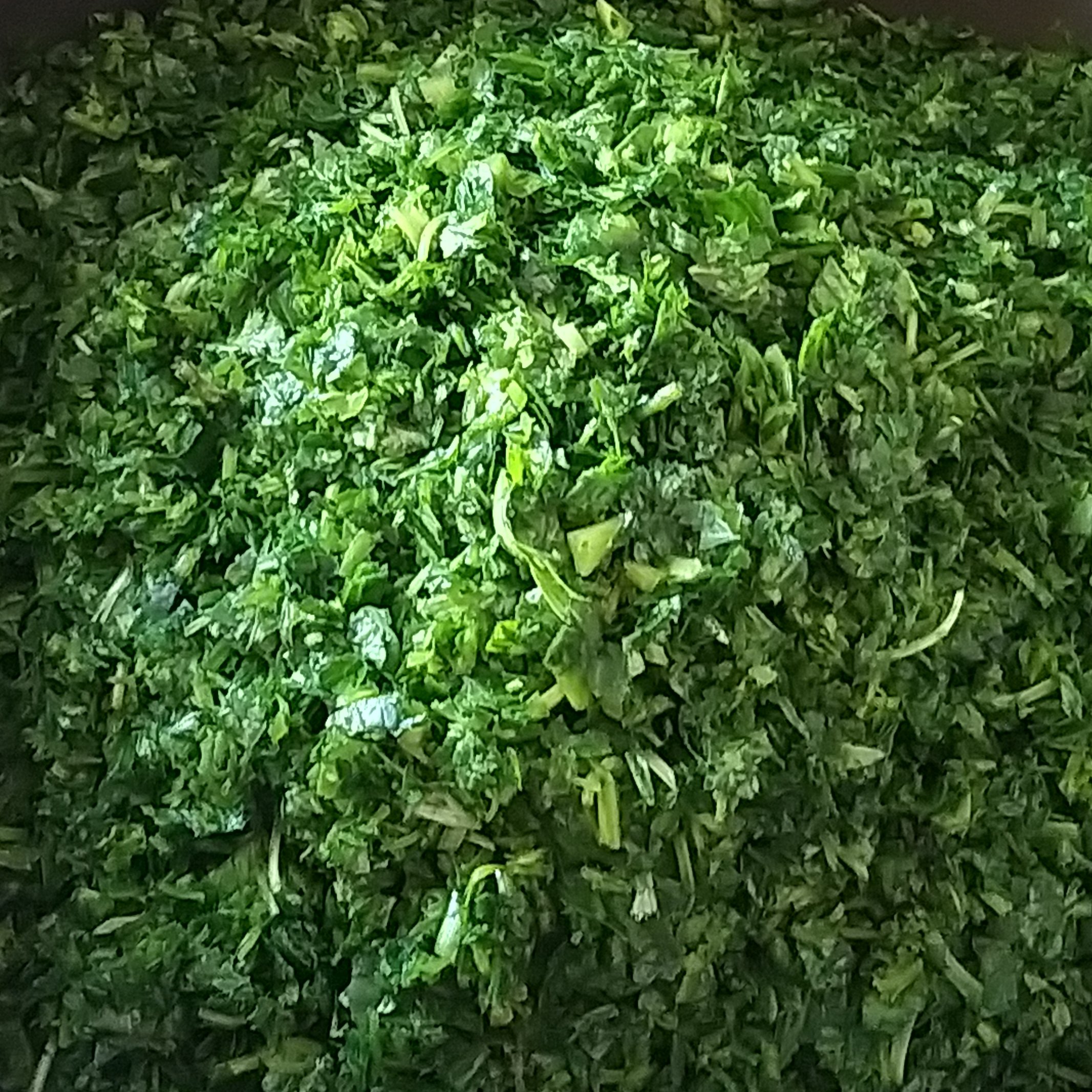 قورمه سبزی بارفروش