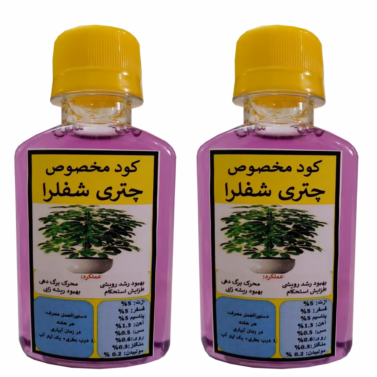 مولتی کود اختصاصی چتری شفلرا،  بسته دو عددی