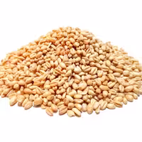  گندم حلیمی ممتاز 900گرمی