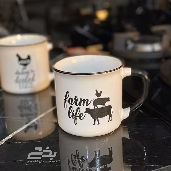 ماگ سرامیکی بدون جعبه دنی هوم