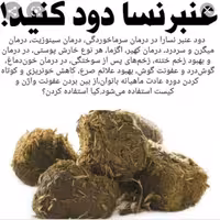 عنبرنسا عنبر نسا