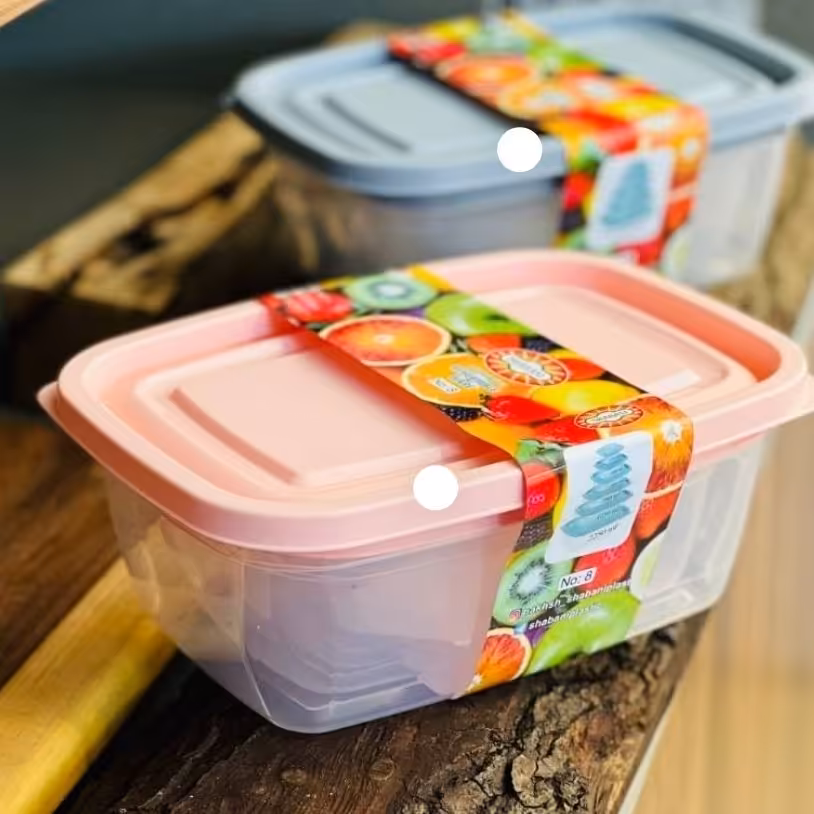 ظروف یخچالی فریزری 