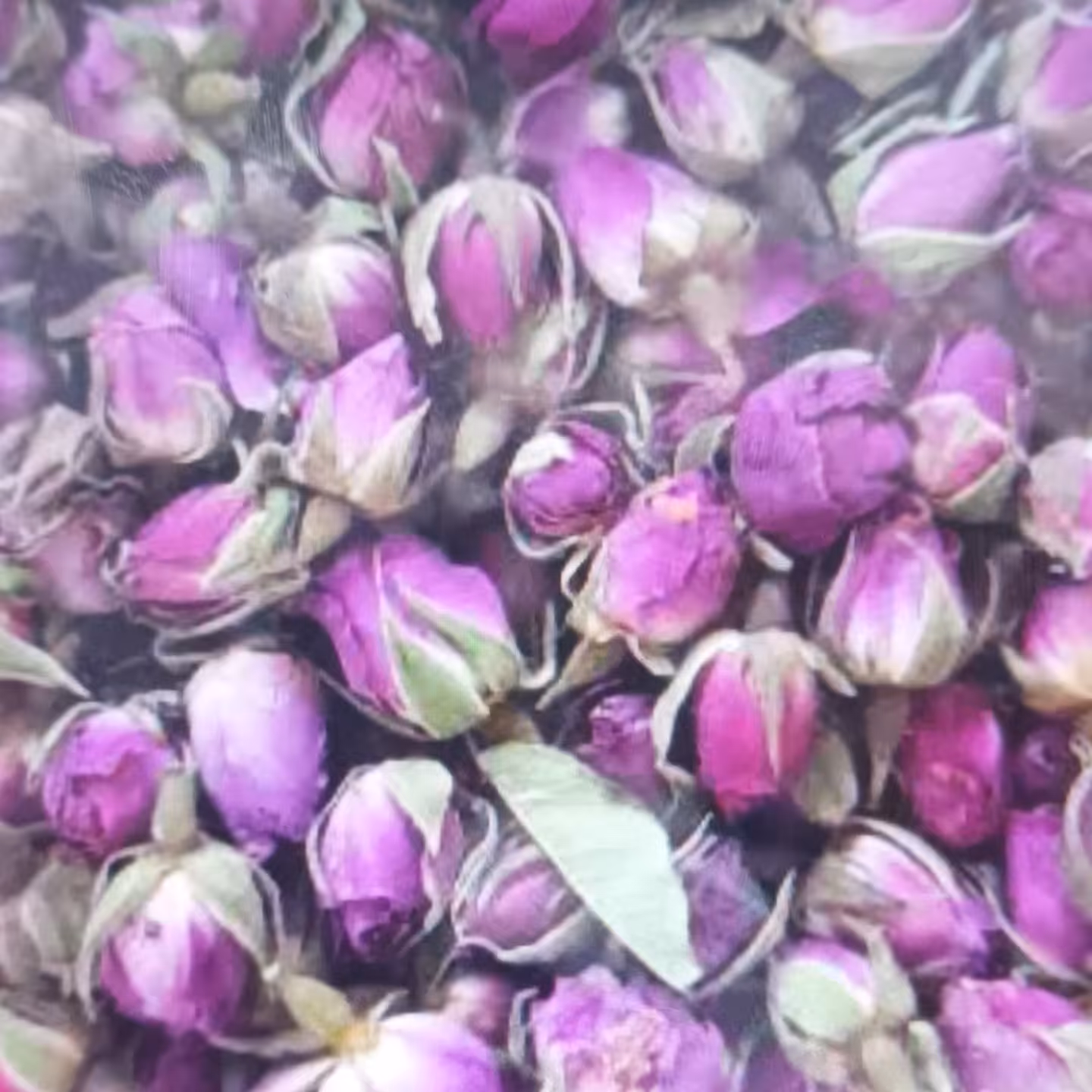 غنچه گل محمدی 200 گرمی