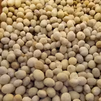 بادام زمینی سرکه ای (500گرمی )آجیل و خشکبار شفا 