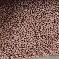 لوبیا چیتی درشت  سایز 8 (دو کیلو)