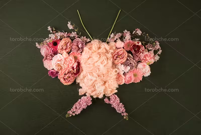 بک دراپ عکاسی کودک با گل های صورتی زیبا | گرافیک با طعم تربچه