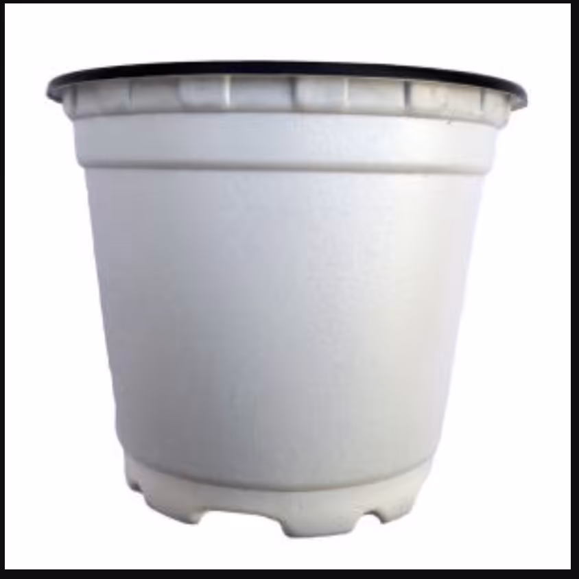 گلدان ژله ای سفید سایز 8 سانت درجه یک با زهکش عالی