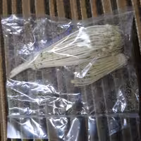 خلال دندان طبیعی و گیاهی