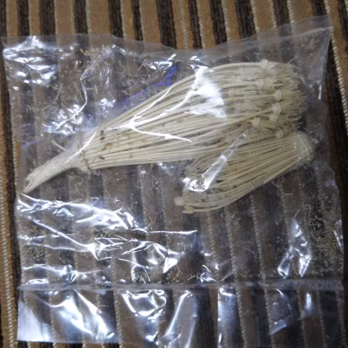 خلال دندان طبیعی و گیاهی