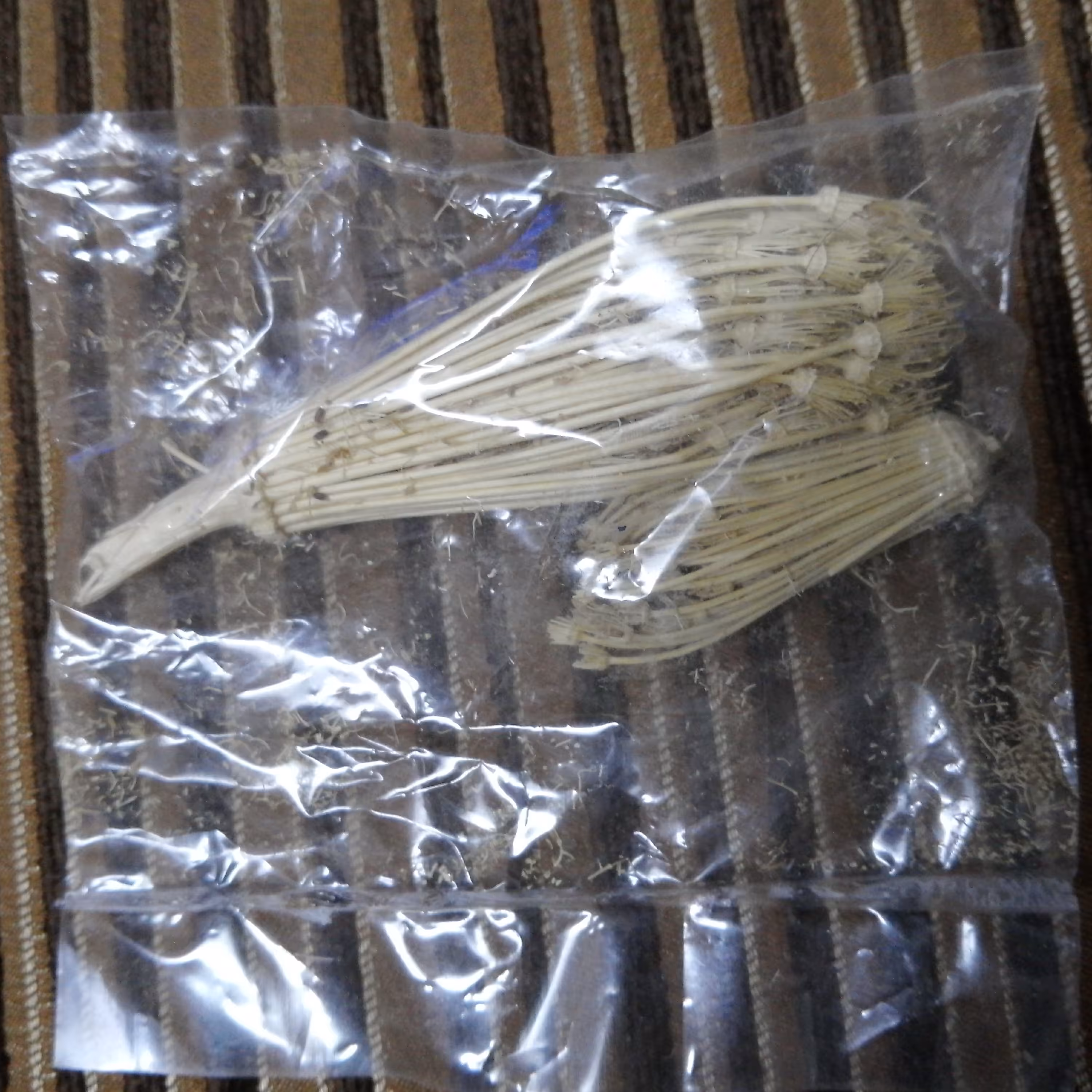 خلال دندان طبیعی و گیاهی