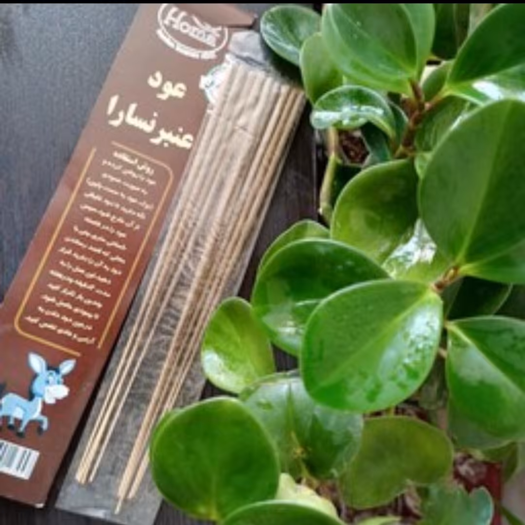 عود عنبرنسابرای درمان سرماخوردگی و عفونت های تنفسی(10عددی) 