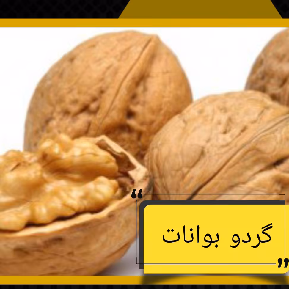 گردوبوانات مغزسفید در بسته های نیم کیلویی، گردو پر چرب  بوانات
با مغز قهوه ای و سفید موجود می باشد.