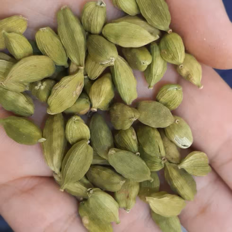 هل اکبر بنفش درجه1(50گرم)