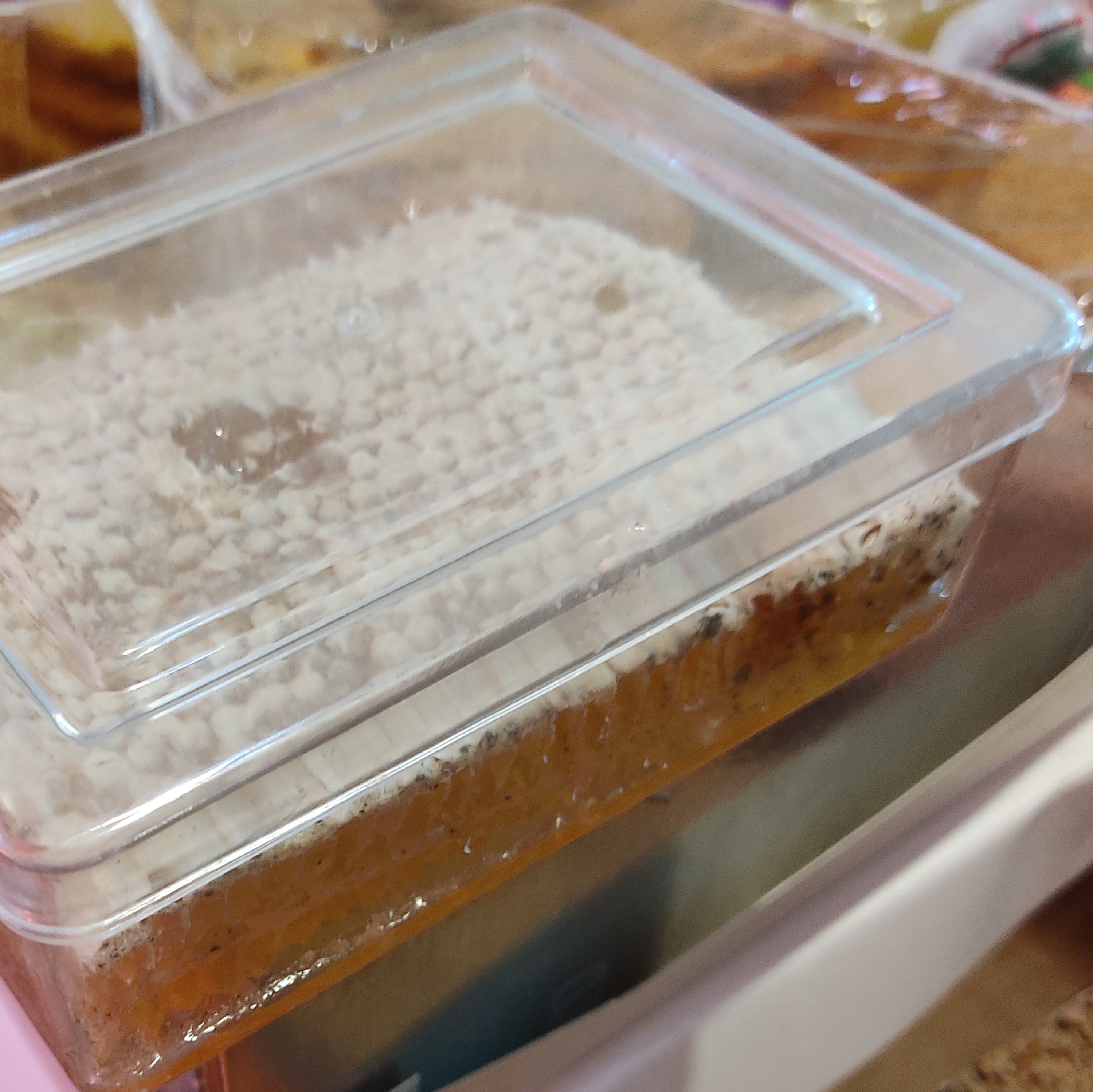 عسل با موم طبیعی ممتاز