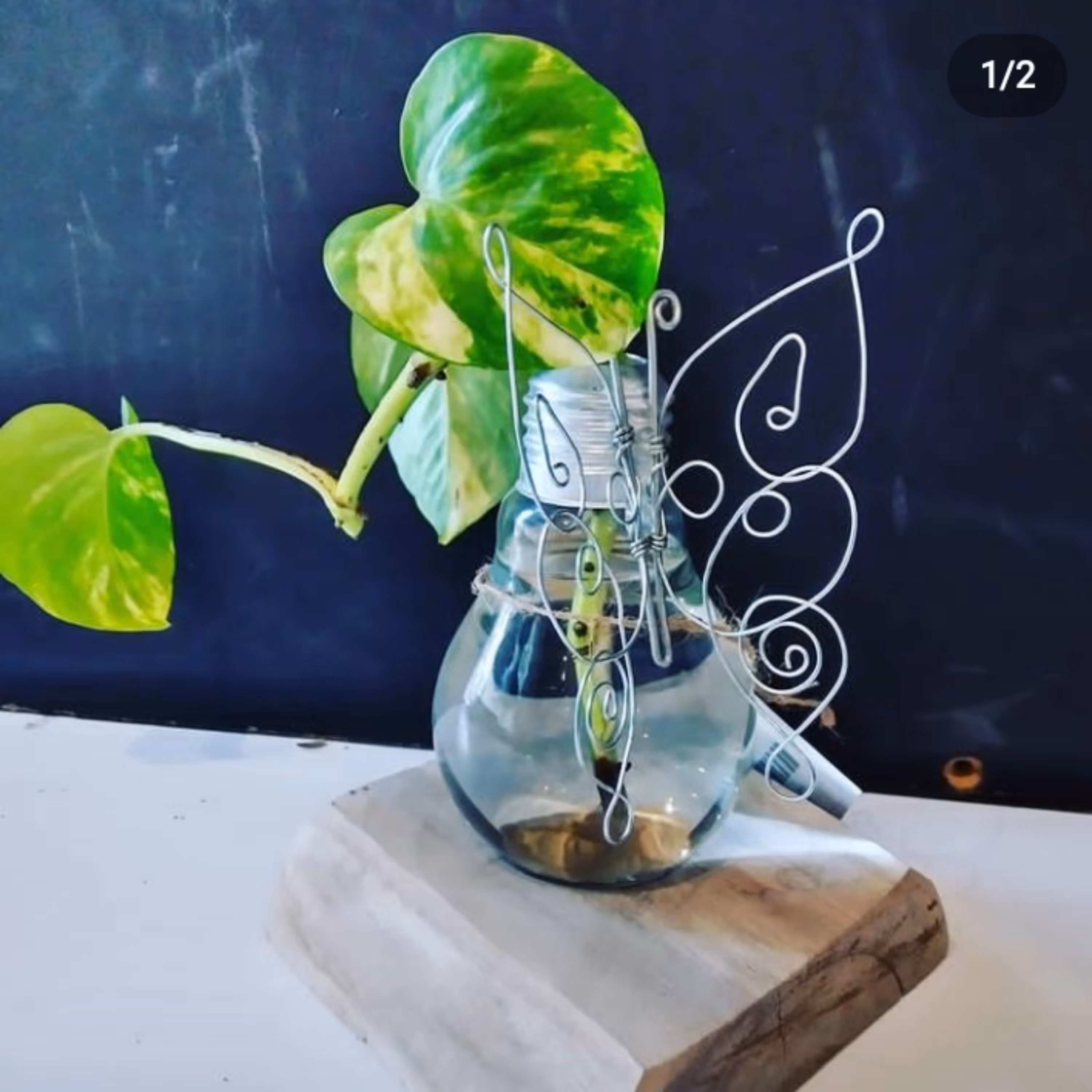 تندیس پروانه مفتولی به همراه گل(شمع گل پروانه)