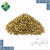 دانه قهوه سبز 100 گرم